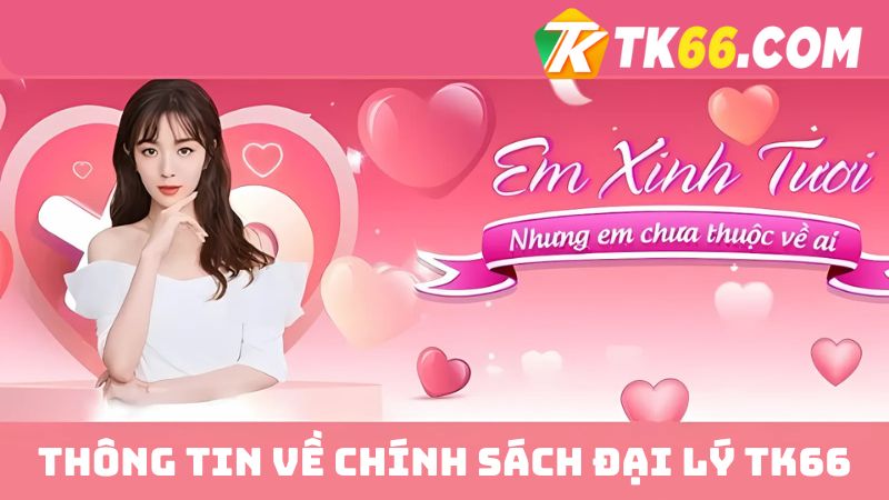 Thông tin chính về chính sách đại lý TK66