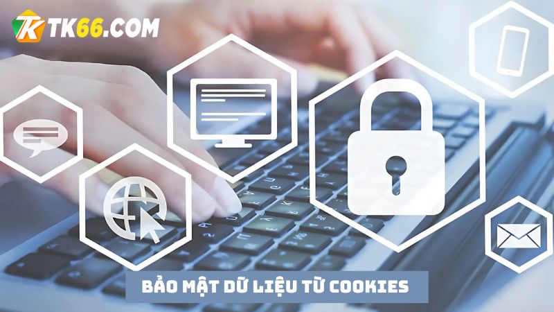 Chính sách bảo mật TK66 từ cookies