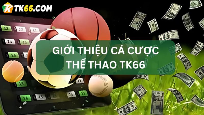 cá cược thể thao TK66